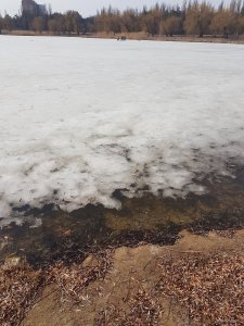 20190309_120400.jpg
