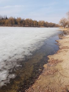 20190309_120407.jpg