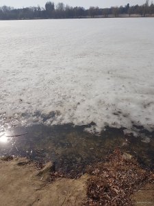 20190309_120356.jpg