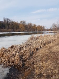 20190309_120952.jpg