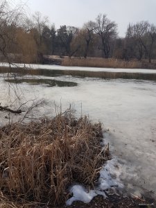 20190309_120944.jpg