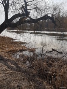 20190309_120947.jpg