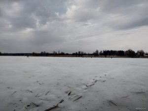 IMG_20190308_142034.jpg