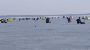 IMG_20190309_144837.jpg
