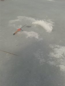 20190309_115939.jpg