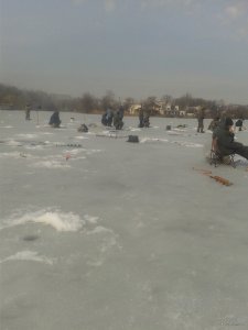20190309_115945.jpg