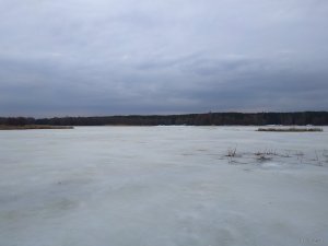 IMG_20190309_085506.jpg