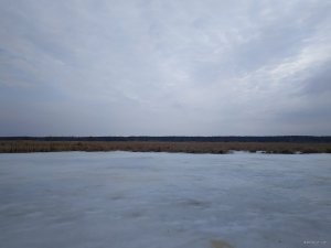 IMG_20190309_085525.jpg