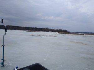 IMG_20190309_090824.jpg