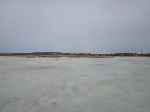 IMG_20190309_100358.jpg