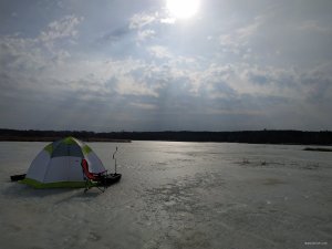 IMG_20190309_100423.jpg