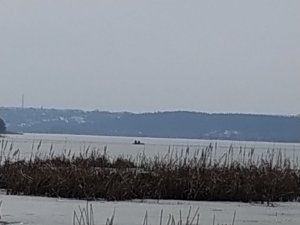IMG_20190309_124331.jpg