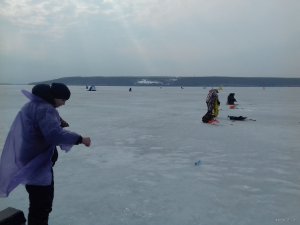 20190309_121510.jpg