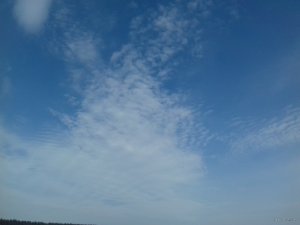 20190309_132821.jpg