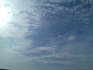 20190309_132829.jpg