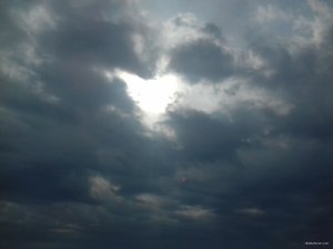20190309_100710.jpg