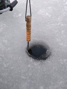 IMG_20190309_165303.jpg