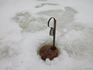 IMG_20190203_153547.jpg