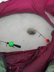 IMG_2019-03-08_114018.jpg