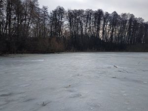 IMG_20190310_101105.jpg