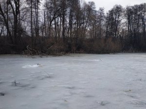 IMG_20190310_101112.jpg