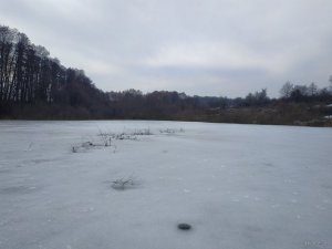 IMG_20190310_101117.jpg
