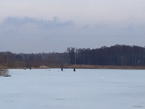 IMG_20190310_101158.jpg