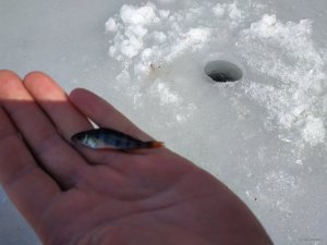 IMG_20190310_111943.jpg
