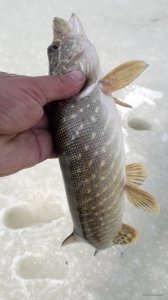 20190310_124305.jpg