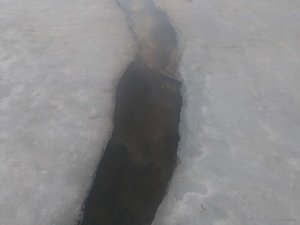IMG_20190310_140858.jpg