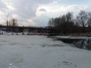 20190310_151035.jpg