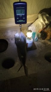 IMG_20190308_015509.jpg