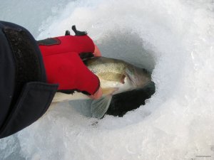 IMG_0413.JPG