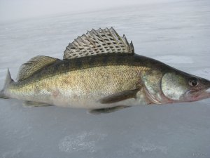 IMG_0427.JPG