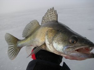 IMG_0421.JPG
