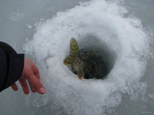 IMG_0429.JPG