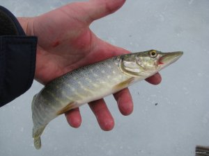 IMG_0430.JPG