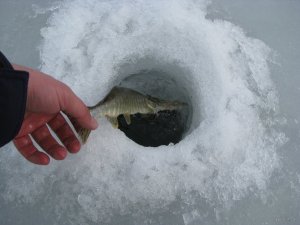 IMG_0431.JPG