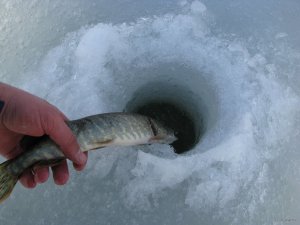 IMG_0433.JPG