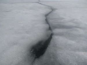 IMG_0434.JPG