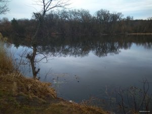 IMG_20190311_114100.jpg