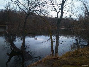 IMG_20190311_114042.jpg