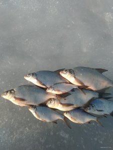 IMG_20190309_160256.jpg