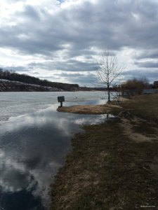20190312_135247.jpg