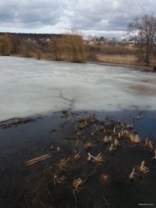 20190312_141257.jpg