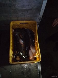 IMG_20190314_191310.jpg