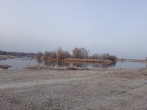 20190314_073701.jpg