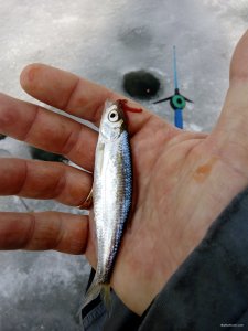 IMG_20190316_130504.jpg