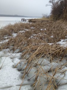 IMG_20190316_090850.jpg