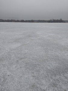 IMG_20190316_090513.jpg